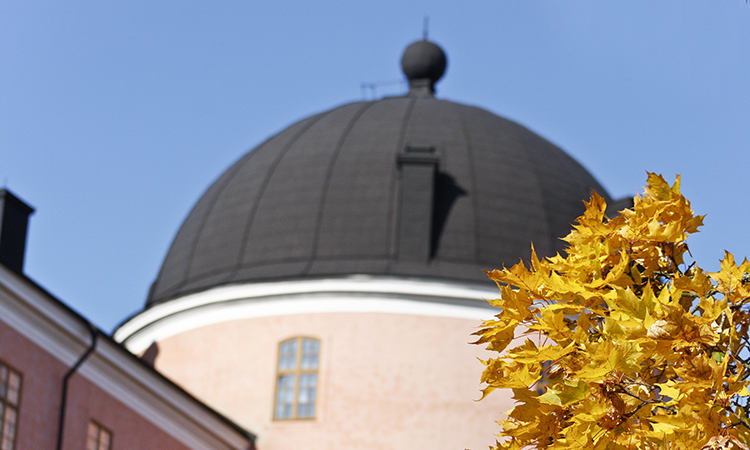 Södra tornet Uppsala slott